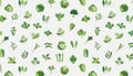 Vector vegetables Seamless pattern.